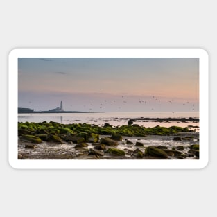 Dawn, St Mary's Lighthouse Sticker